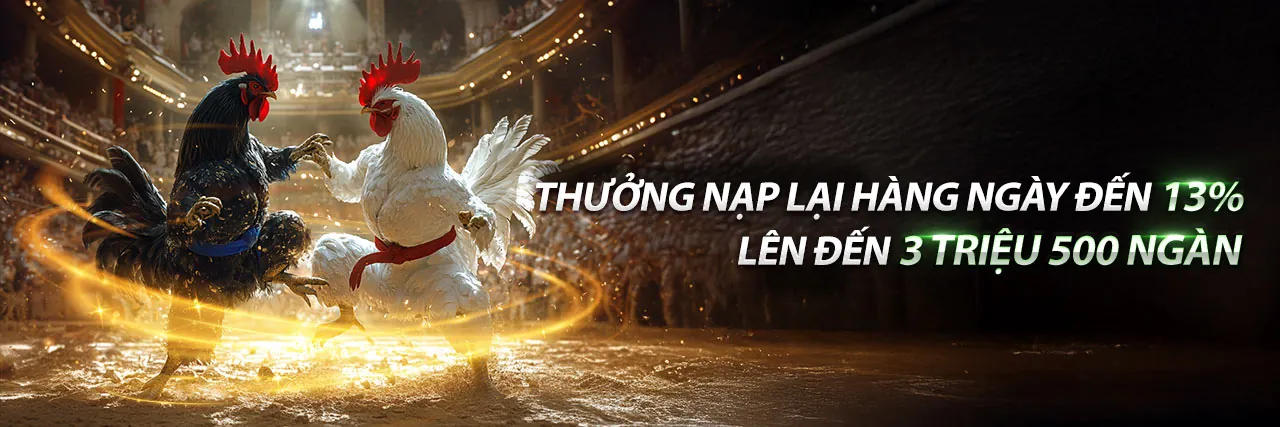 Sân vận động bóng đá với logo S88BET