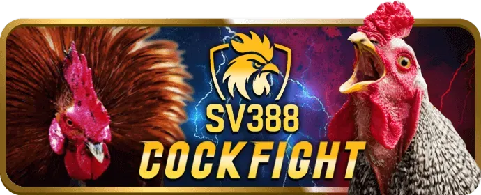 Các chương trình khuyến mãi và ưu đãi dành cho tân thủ S88bet
